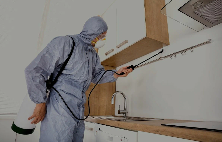 San Dimas pest managment